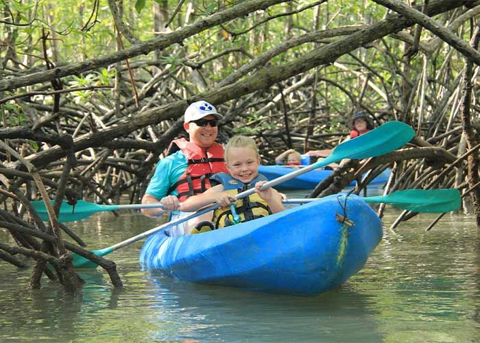 Damas Island Kayaking Tour