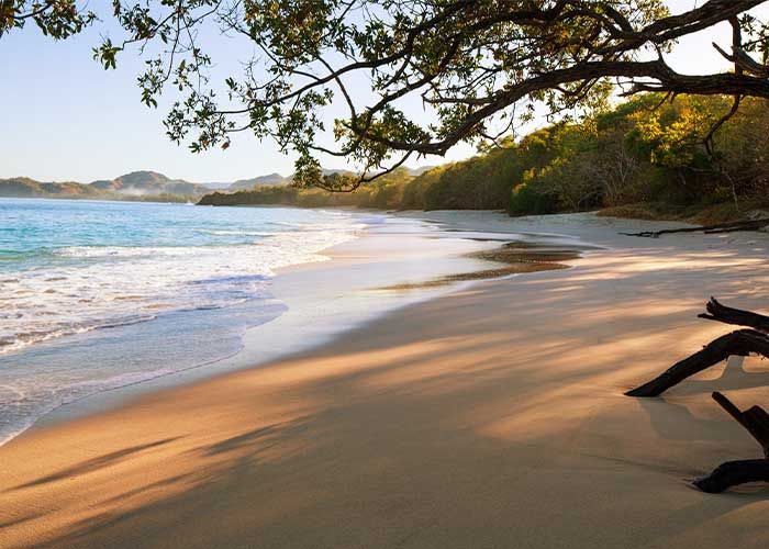 Transfer to Playa Conchal